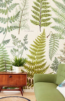 Herbarium Green Wall Mural - Window Film World