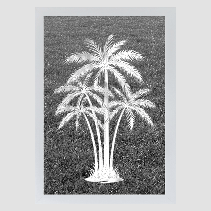 Oval Palm Tree Center Reverse | Etched Glass Decal (Static Cling) - Window Film World