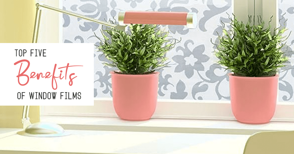 Top 5 Benefits of Window Film
