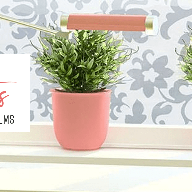 Top 5 Benefits of Window Film