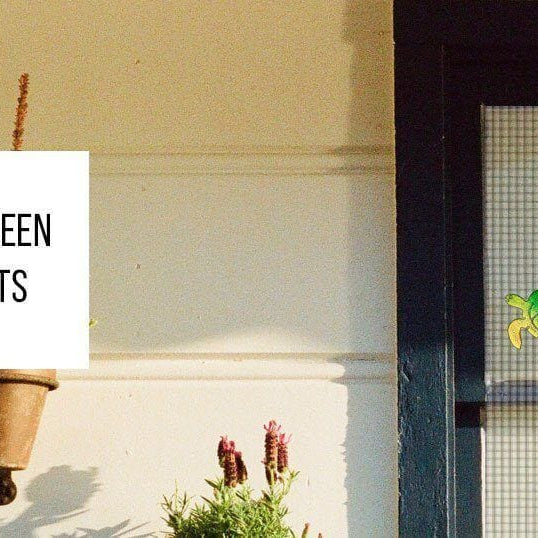 Appeal of Screen Door Magnets