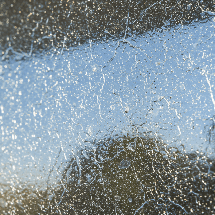 Choosing the Right Brewster Window Film