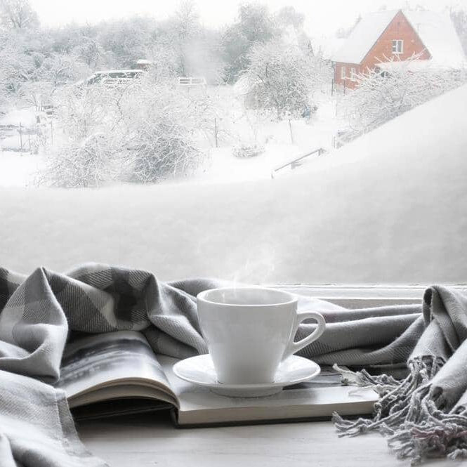 Style Your Windows This Season With These Winter Window Films