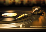 Vinyl Wall Mural - Image 2
