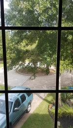 EZ Film One-Way Mirror Film | (Static Cling) - Image 14