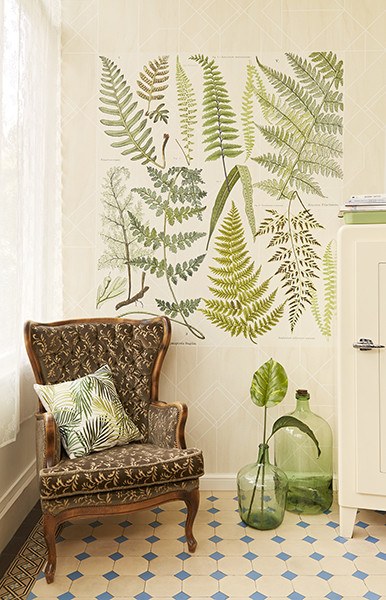 Athyrium Wall Mural