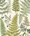 Herbarium Green Wall Mural - Window Film World