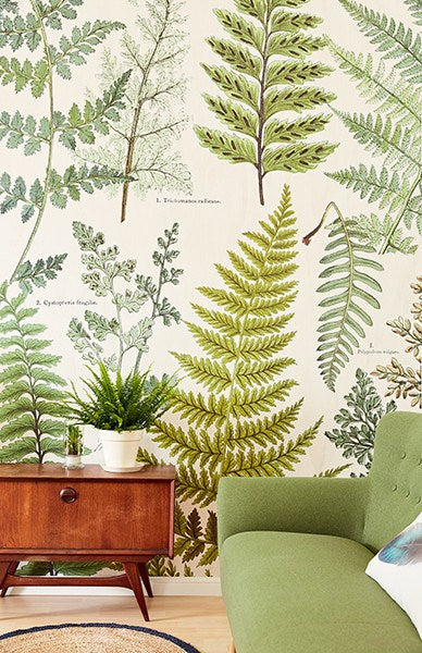 Herbarium Green Wall Mural
