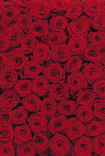 Roses Wall Mural - Image 2