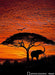 African Sunset Wall Mural - Window Film World