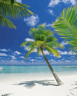 Ari Atoll Wall Mural - Image 2