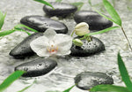 Pure Wall Mural - Image 2