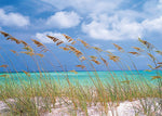 Ocean Breeze Wall Mural - Image 2