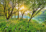 Spring Lake Wall Mural Wall Mural - Image 2