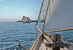 Sailing Wall Mural Wall Mural - Image 2