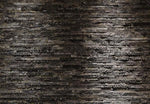 Birkenrinde Adhesive Wall Mural - Image 2