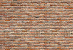 Brick Wall Wall Mural - Image 2