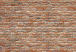 Brick Wall Wall Mural - Window Film World