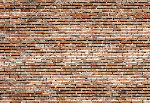 Brick Wall Wall Mural - Window Film World