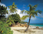 Praslin Wall Mural - Image 2