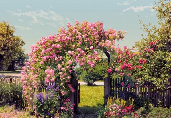 Rose Garden Wall Mural - Window Film World