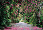 Wicklow Park Mural - Image 2
