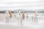 White Horses Mural - Image 2