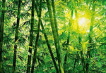 Bamboo Forest Wall Mural - Image 2
