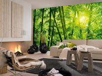 Bamboo Forest Wall Mural - Window Film World