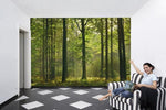 Autumn Forest Wall Mural - Image 1