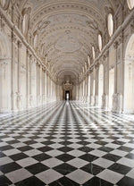 Palace of Venaria Wall Mural - Image 2