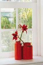 Rhombus Sa Window Film | Privacy (Adhesive) - Image 6