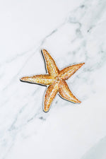 Starfish Screen Door Saver Magnets (5.5