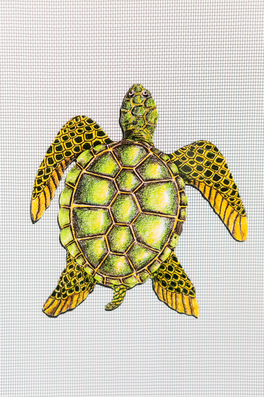 Sea Turtle Screen Door Saver Magnets (5
