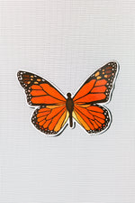Butterfly Screen Door Magnets (5