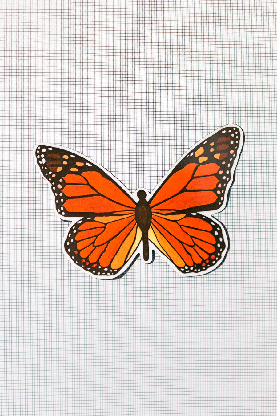 Butterfly Screen Door Magnets (5