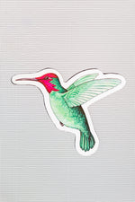 Hummingbird Screen Door Magnets (5.25