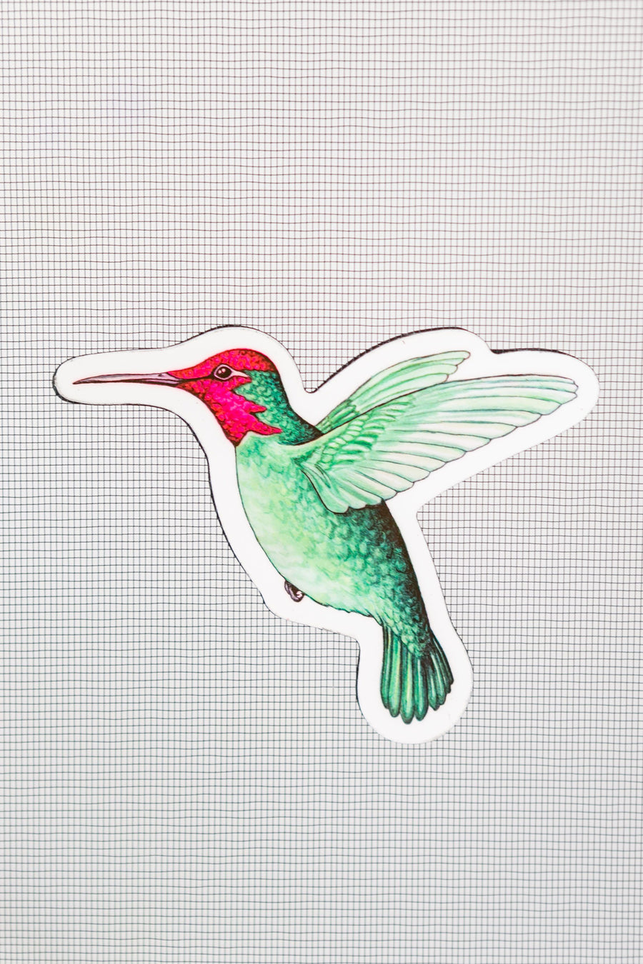 Hummingbird Screen Door Magnets (5.25