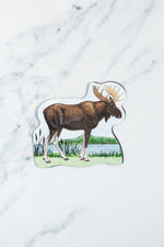 Moose Screen Door Saver Magnets (6