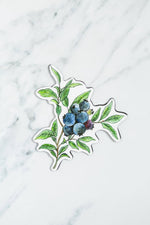 Blueberries Screen Door Saver Magnets (5.75