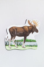 Moose Screen Door Saver Magnets (6