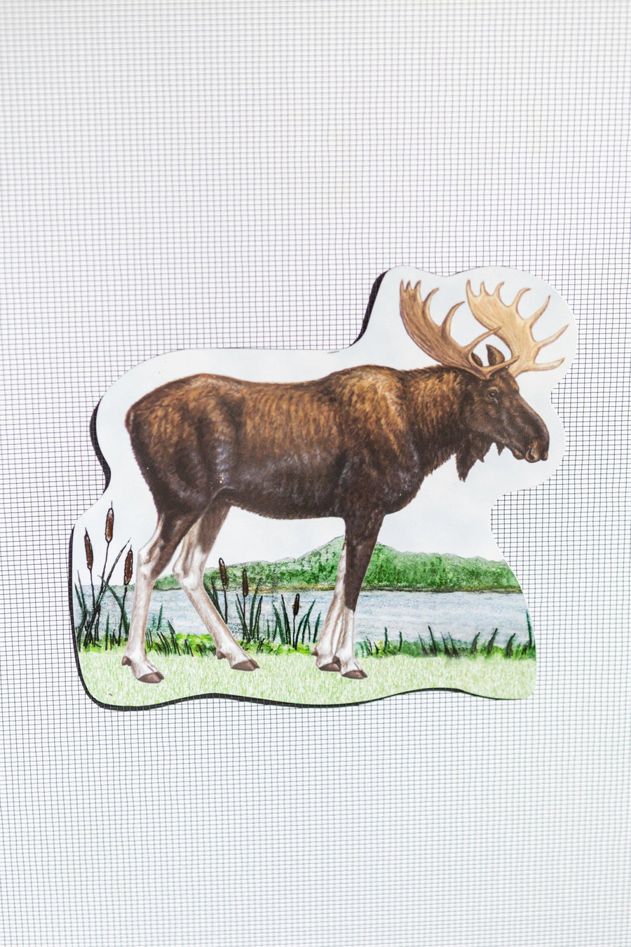 Moose Screen Door Saver Magnets (6