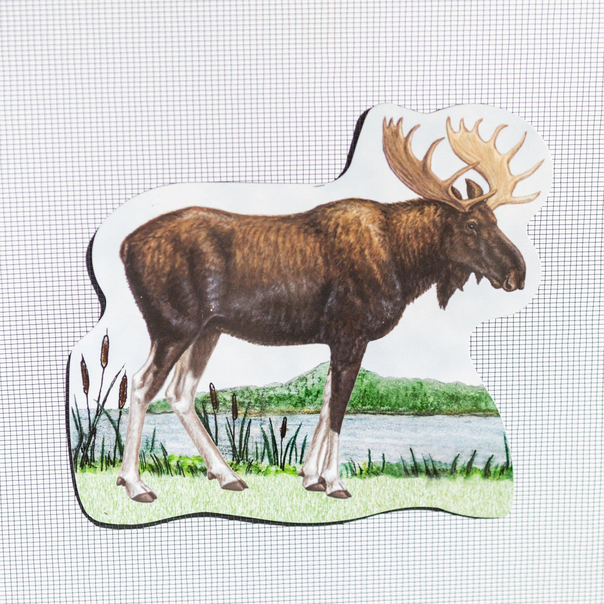 Moose Screen Door Saver Magnets - Prevent Walking Into Screens