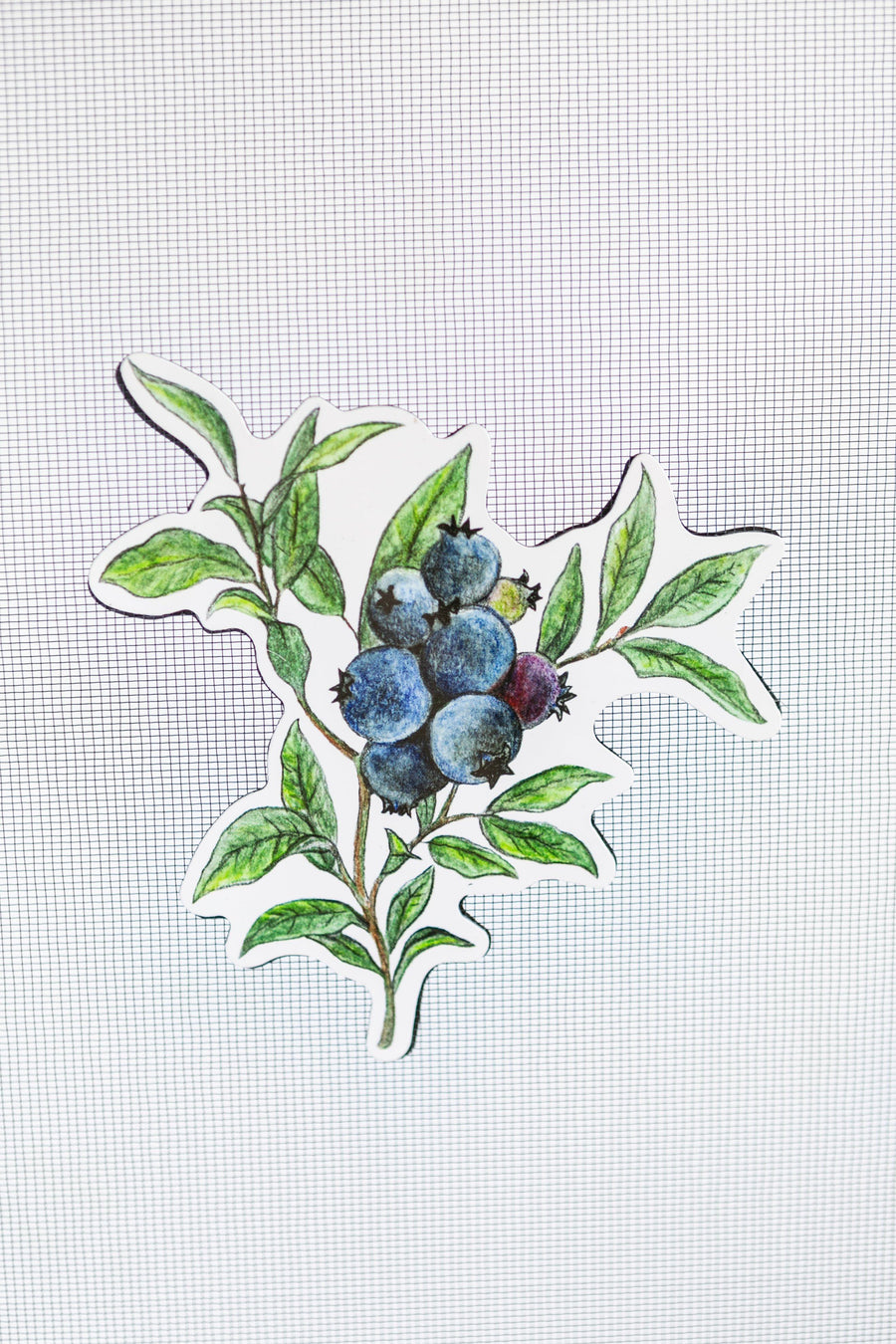 Blueberries Screen Door Saver Magnets (5.75