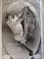 Oval Mountain Lion - Image 1