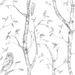 Gray Woods Peel And Stick Wallpaper - Image 4