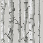 Mountain Birch Grey Peel and Stick Wallpaper - Image 2