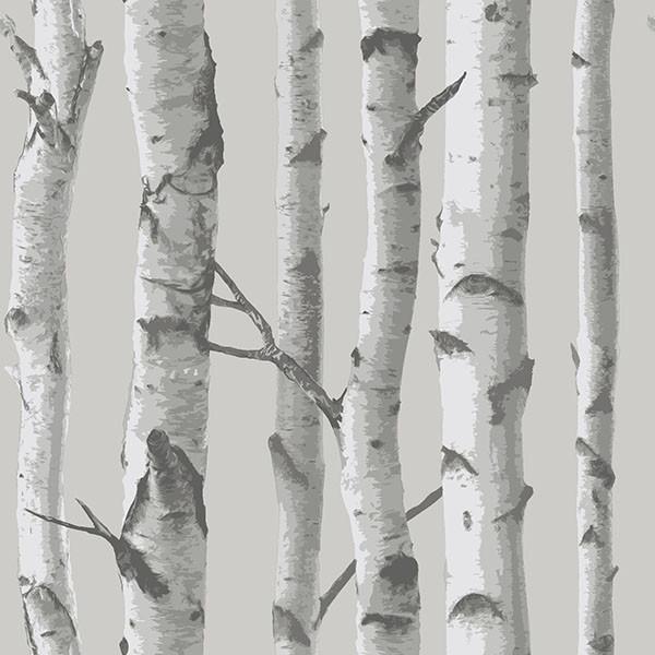 Mountain Birch Grey Peel and Stick Wallpaper - Window Film World
