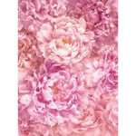Soave Wall Mural - Image 2