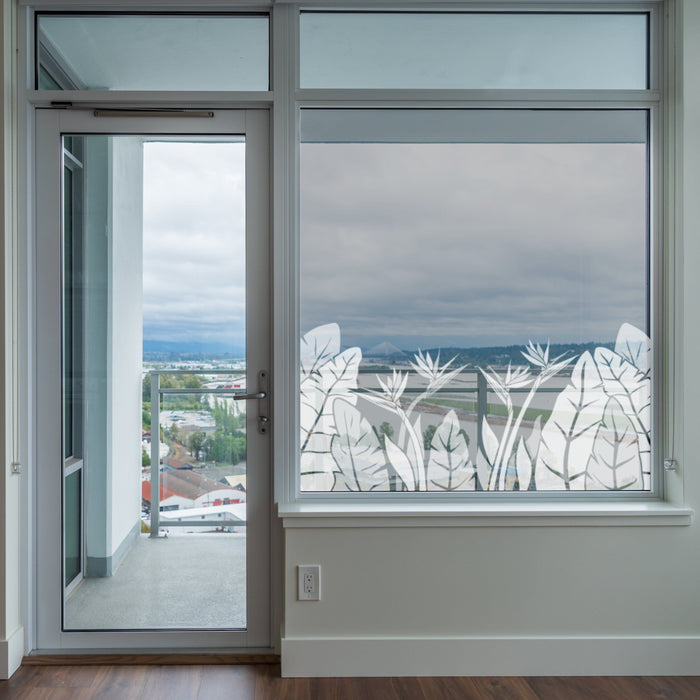 Large Clear Window Clear Glass Windows